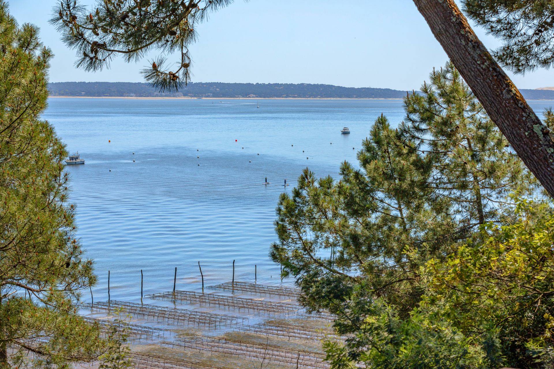 les activités typiques du bassin d'arcachon