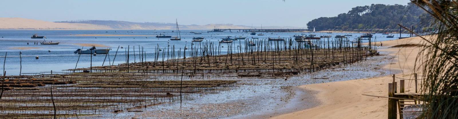 L’histoire du Bassin d’Arcachon et de ses lieux emblématiques