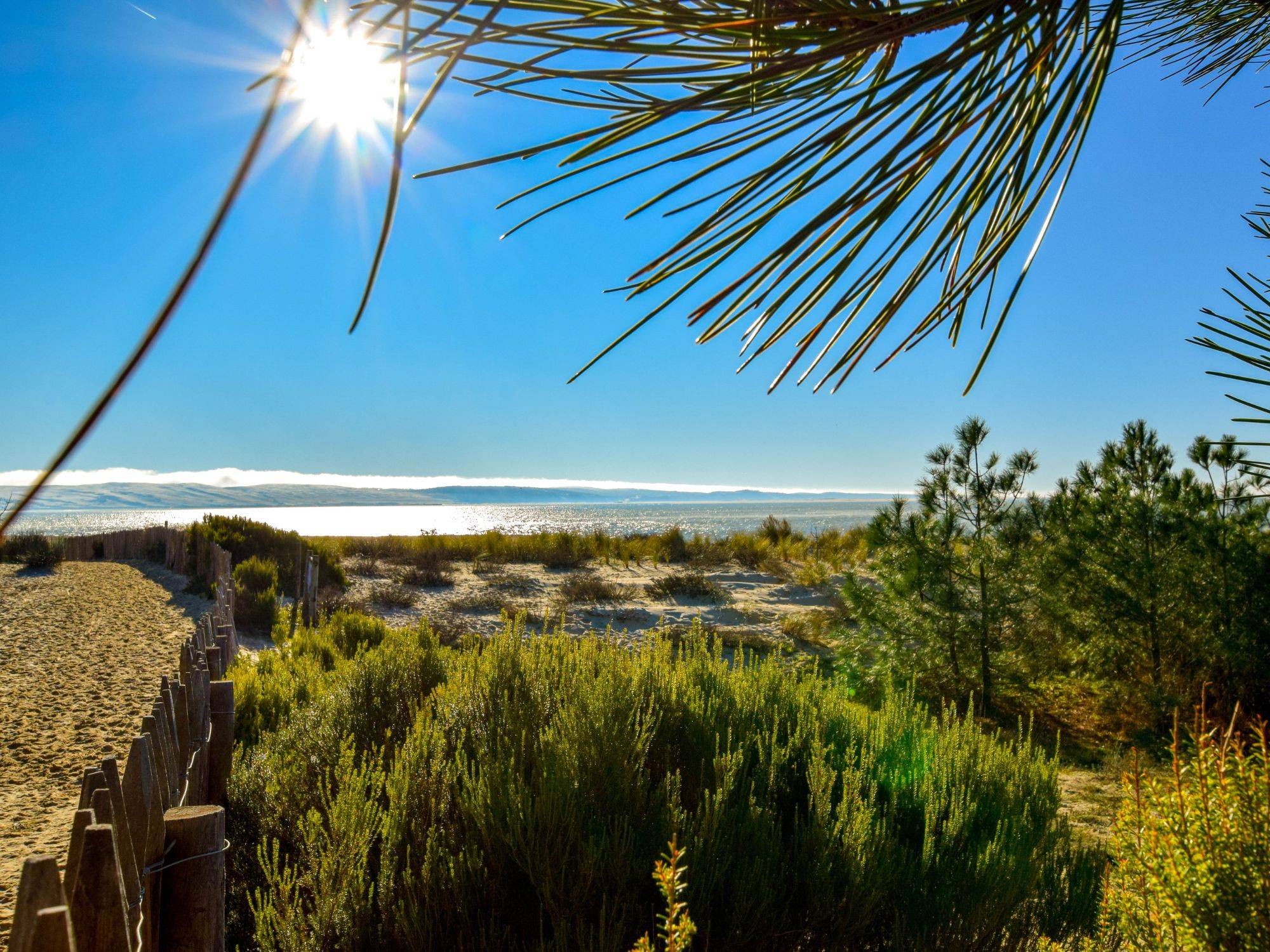 cap ferret vue