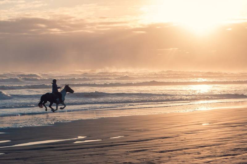 Cavaliers sur la plage océane au coucher du soleil sur la presqu’île du Cap Ferret.