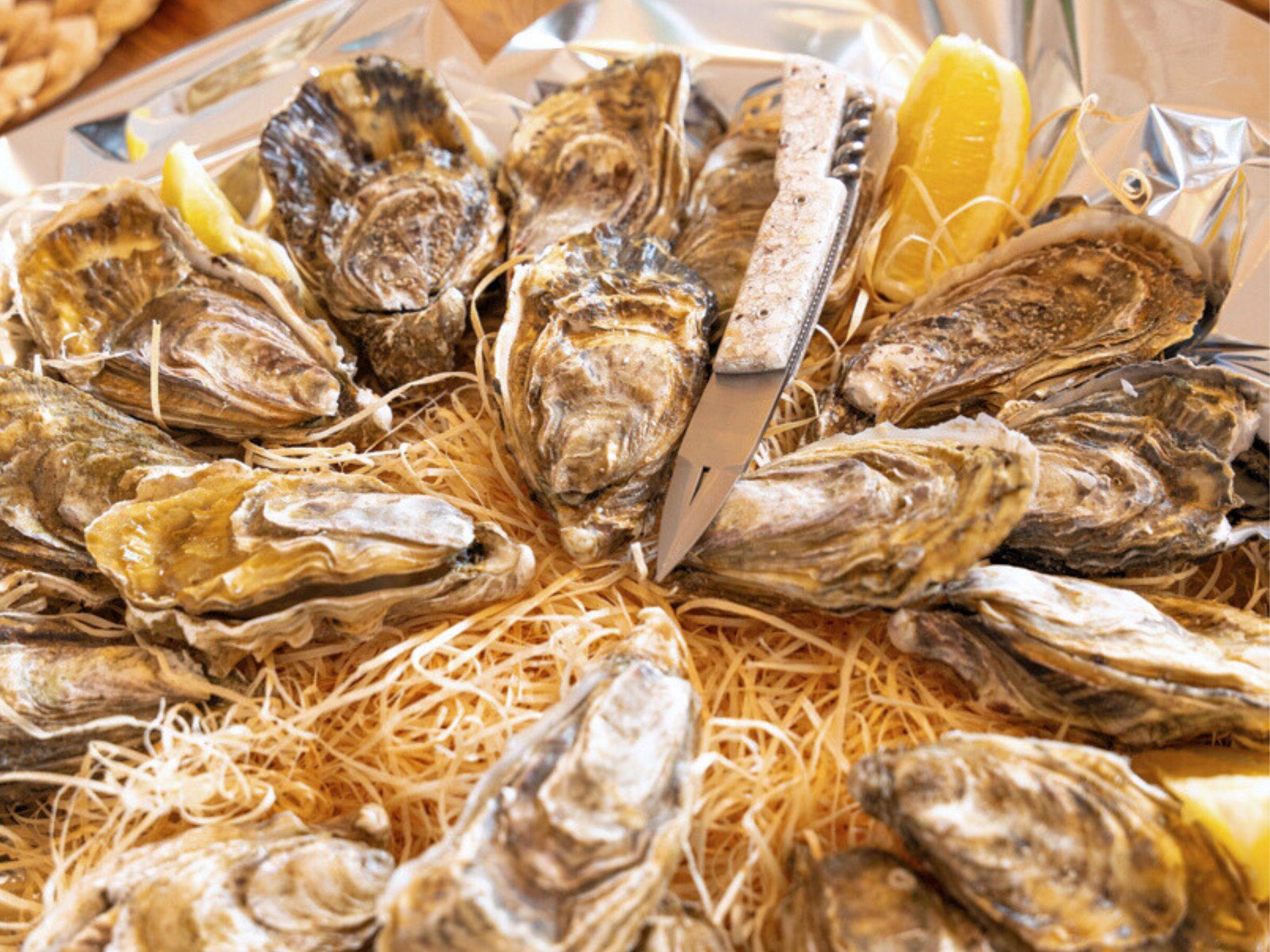 atelier rosie coutellerie