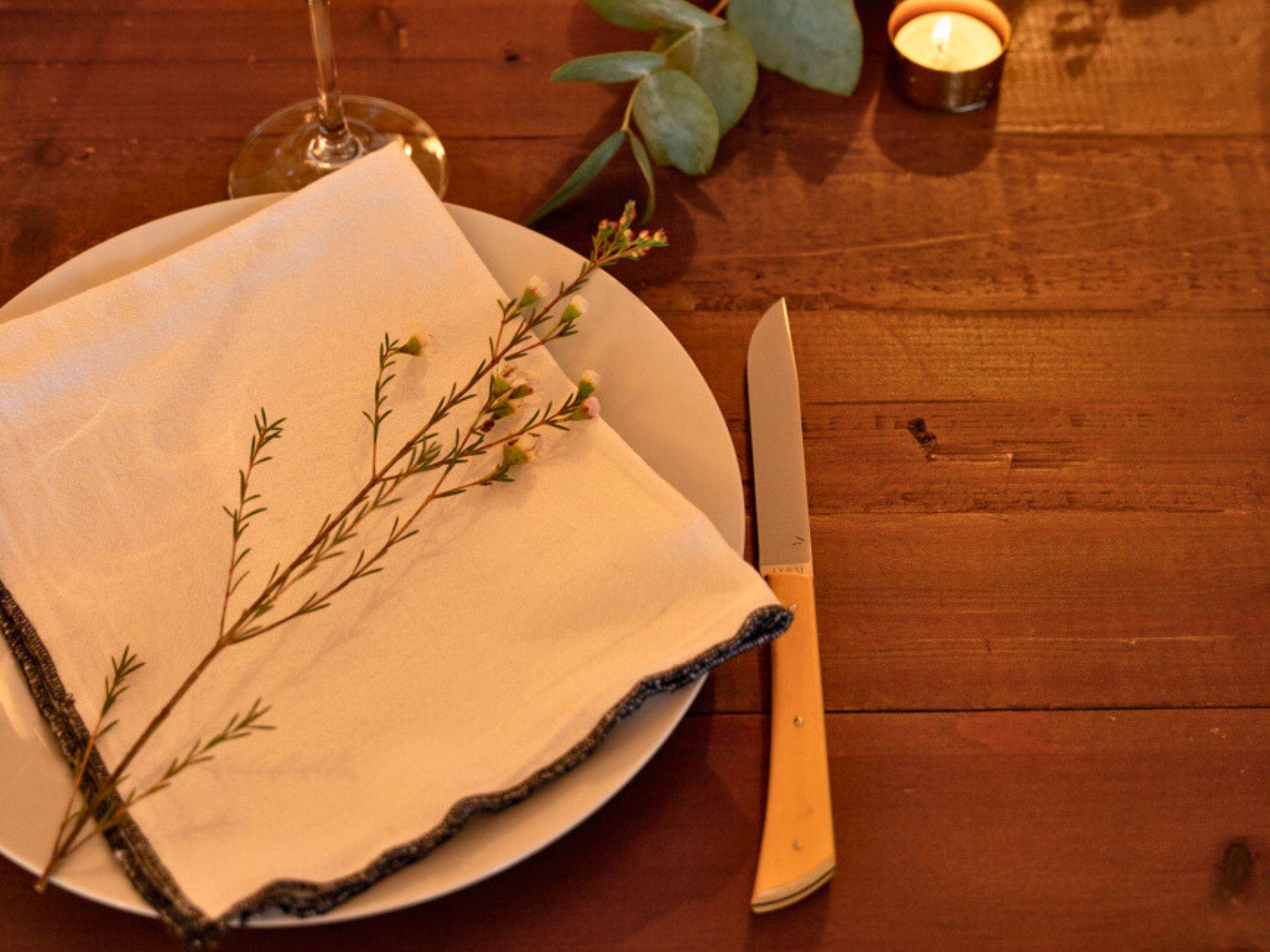 barnes bassin d'arcachon