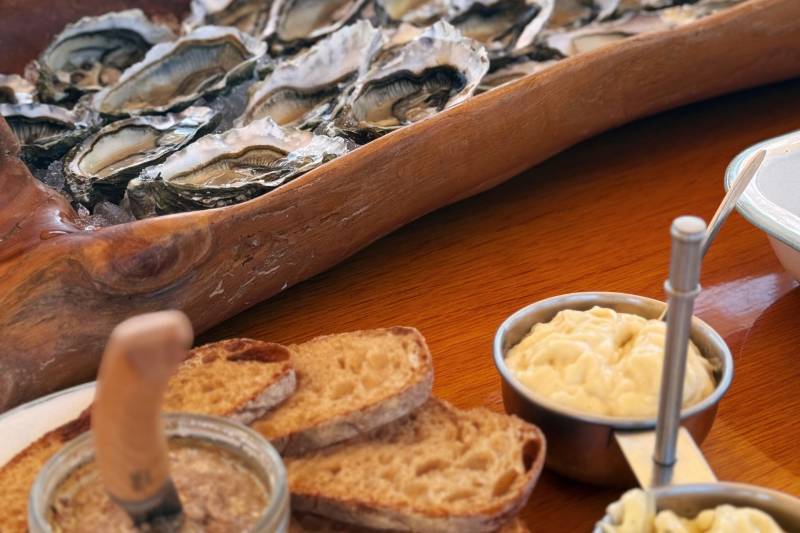 LA PYLATAISE : EMBARQUEZ POUR UNE EXPERIENCE INOUBLIABLE SUR LE BASSIN