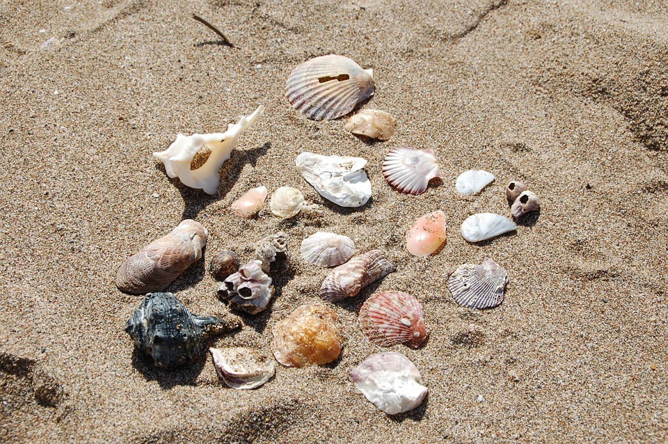 OÙ SE BAIGNER AU PYLA SUR MER