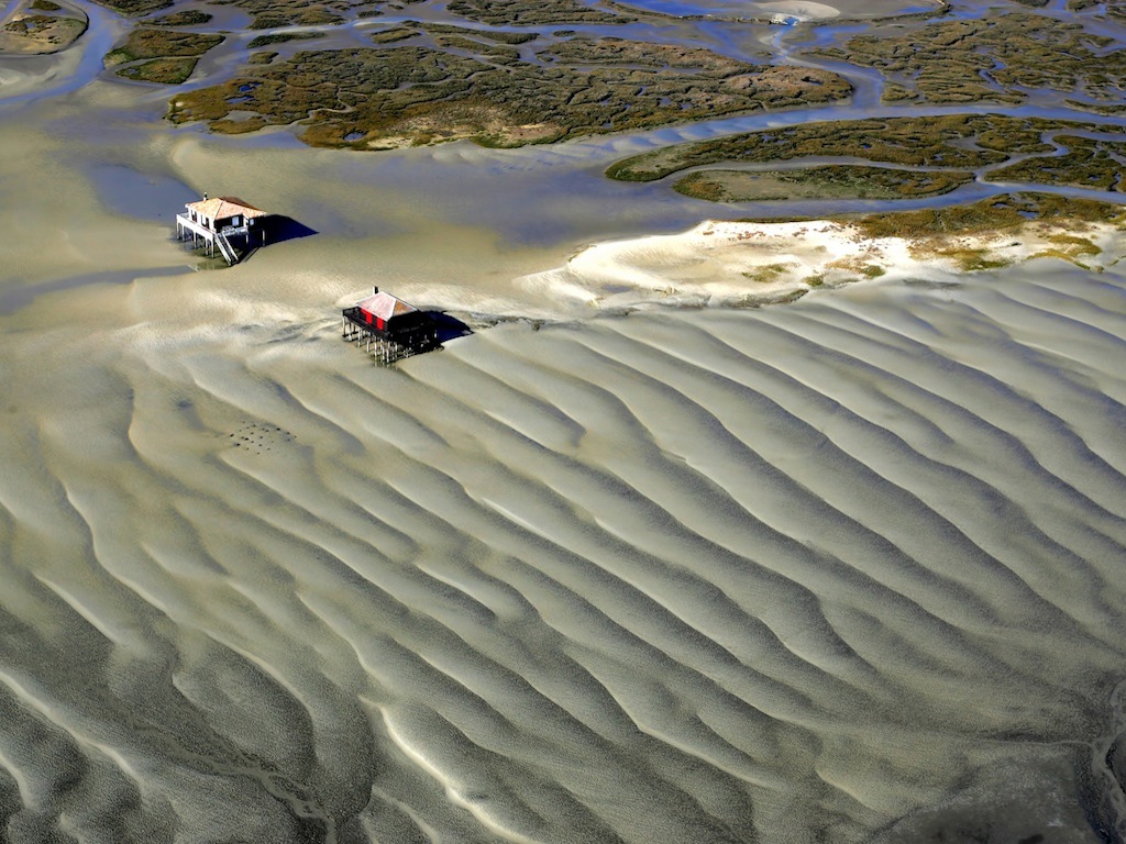 visiter l'ile aux oiseaux