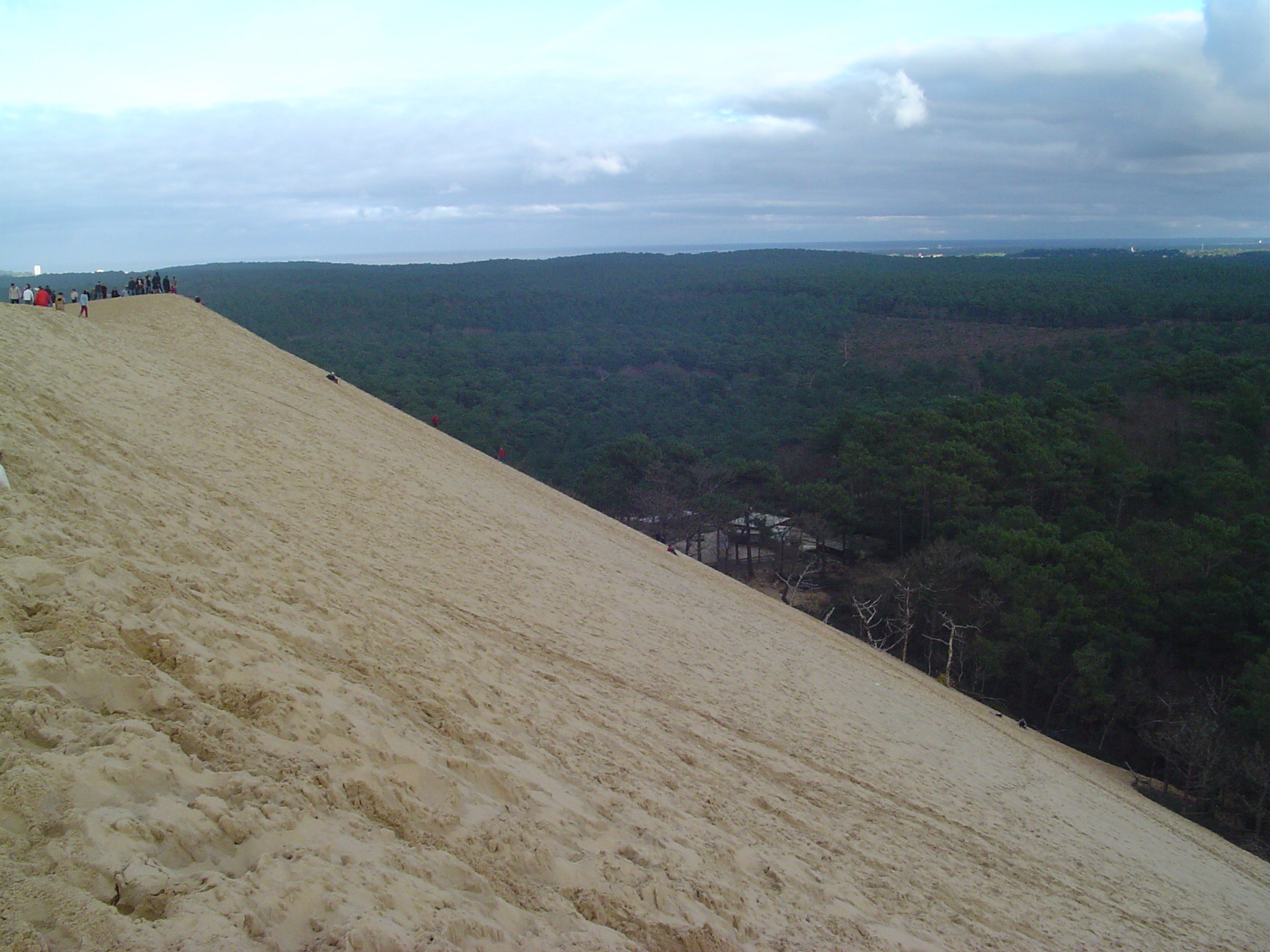 Les villas à vendre proche de la Dune du Pyla ont vue sur la forêt