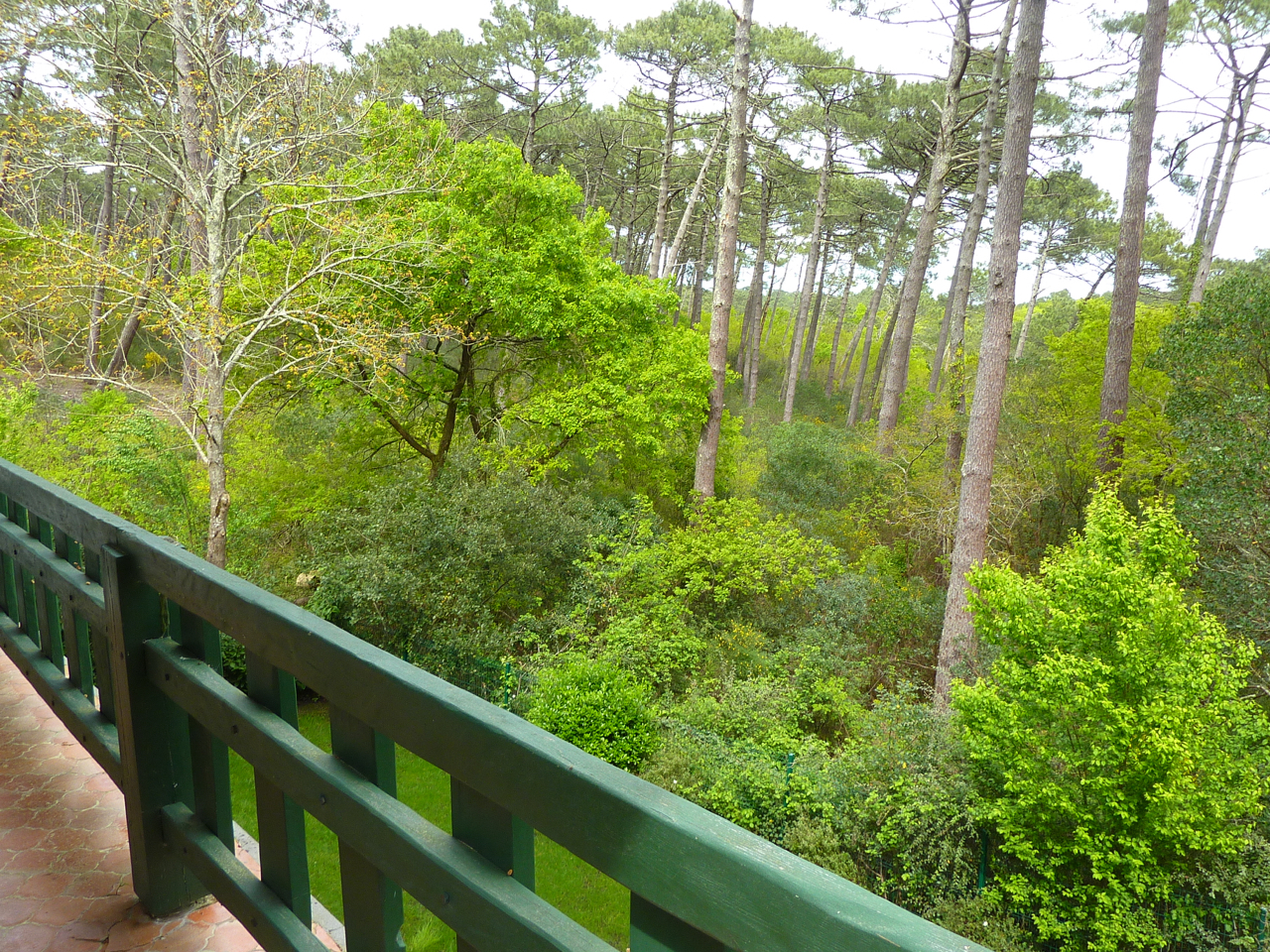 Vente immobilière d'une villa à PYLA SUR MER avec vue sur la forêt