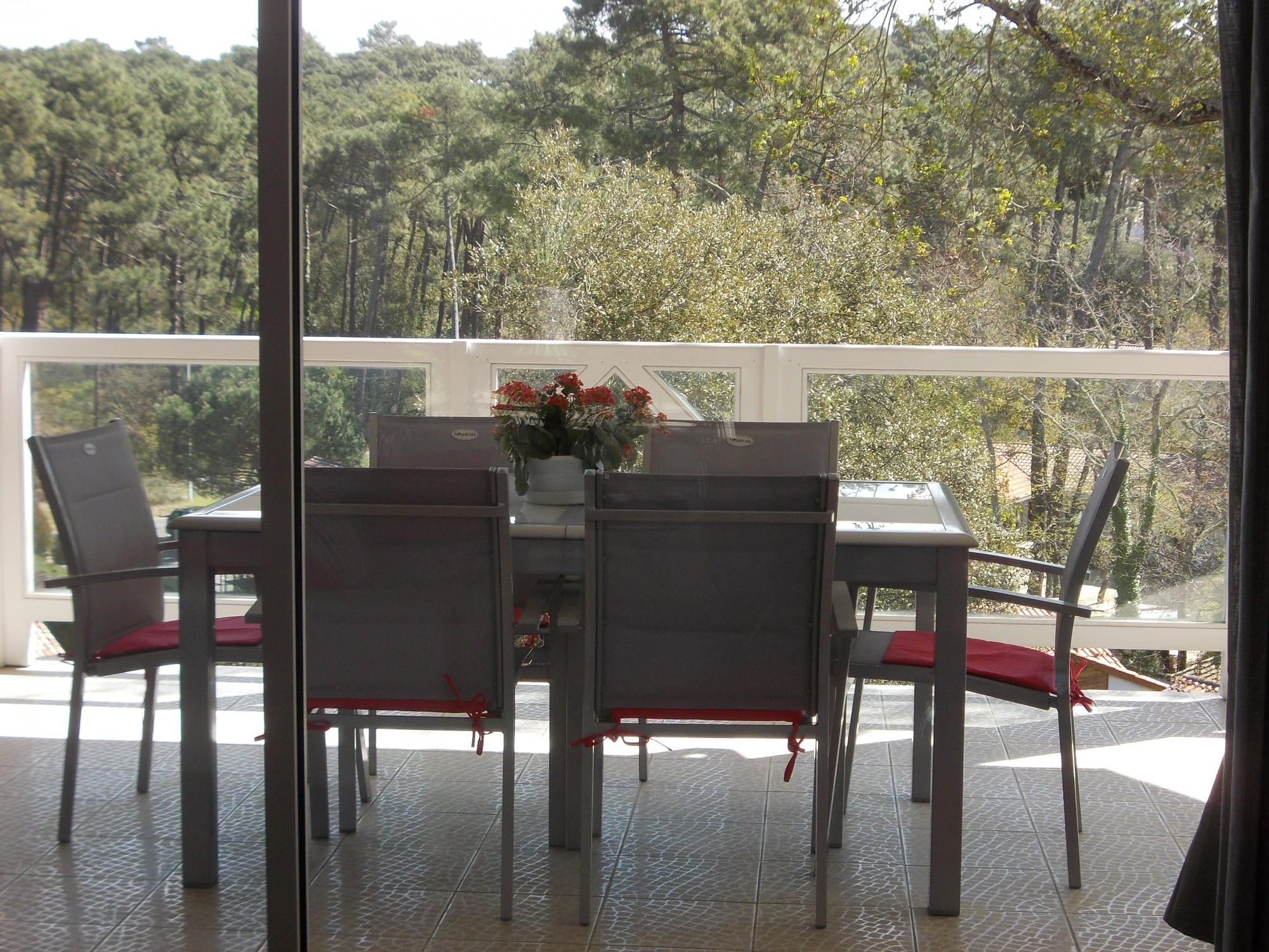 Certaines villas à la vente ont vue sur la forêt usagère du PYLA SUR MER