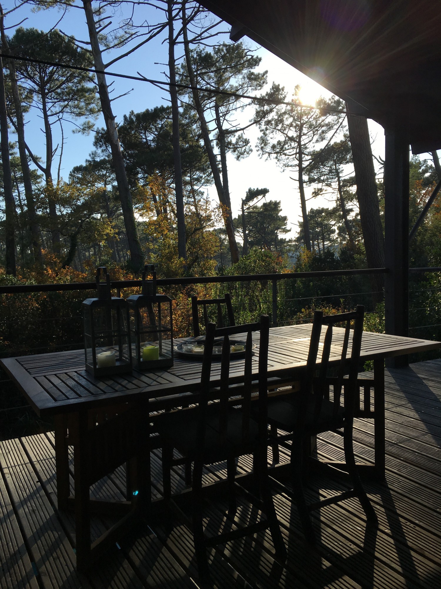 PYLA SUR MER BELLE VILLA OSSATURE BOIS PISCINE ET VUE FORET