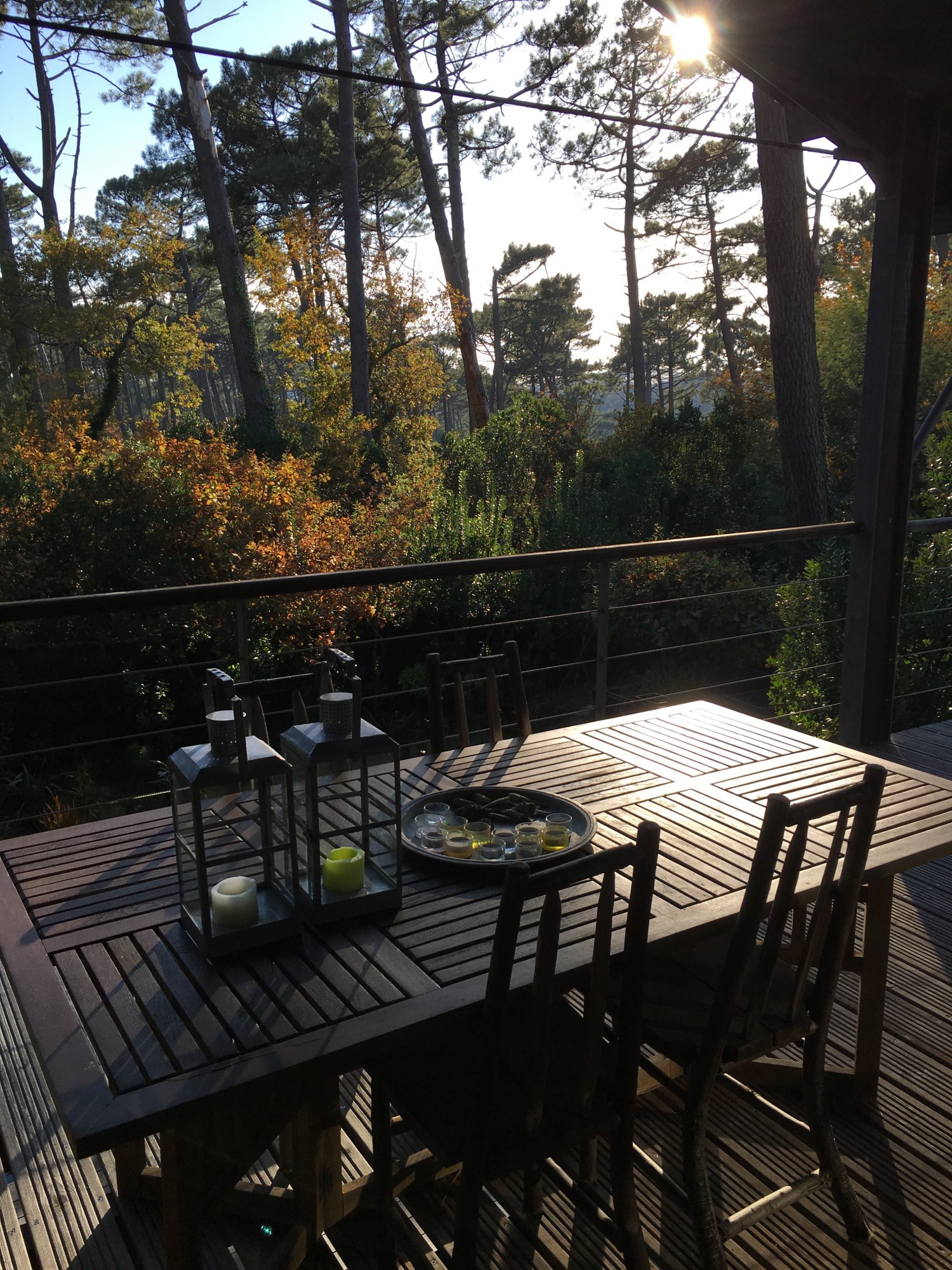 MAGNIFIQUE VILLA EN BOIS AU COEUR DE LA FORET DU PYLA