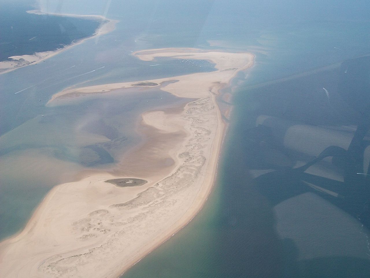 le PARC NATUREL DU BANC D'ARGUIN
