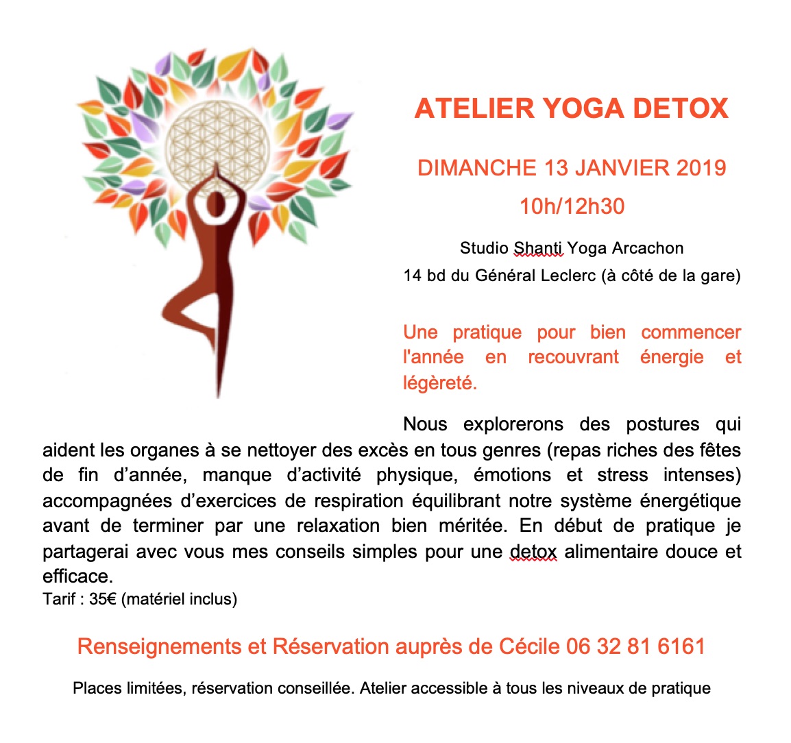 FAIRE UNE SÉANCE DE YOGA DETOX APRÈS LES FETES À ARCACHON
