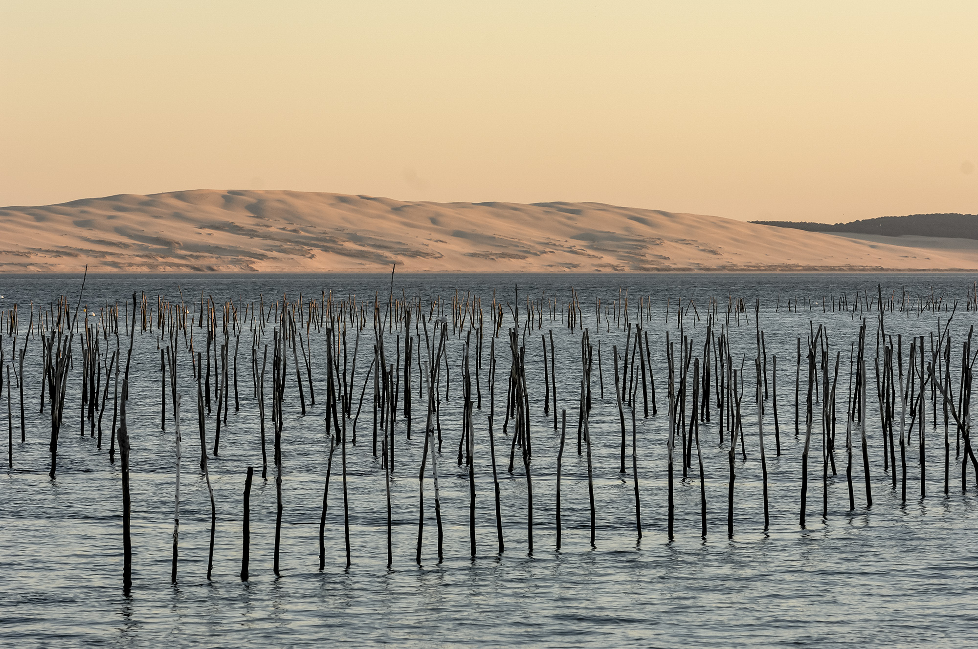 Des vacances ou des week-ends sur le Bassin d'Arcachon