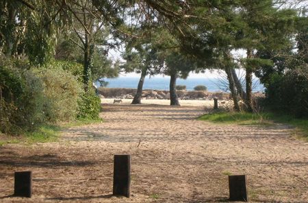 Nos prestations sur le secteur de centre Arcachon