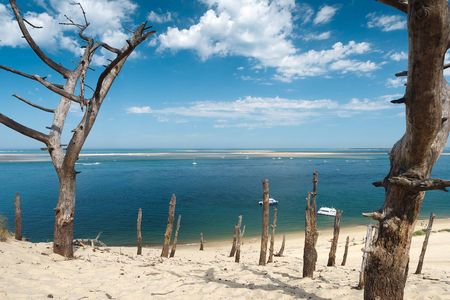 Nos prestations sur le secteur de Cap Ferret, le Mimbeau